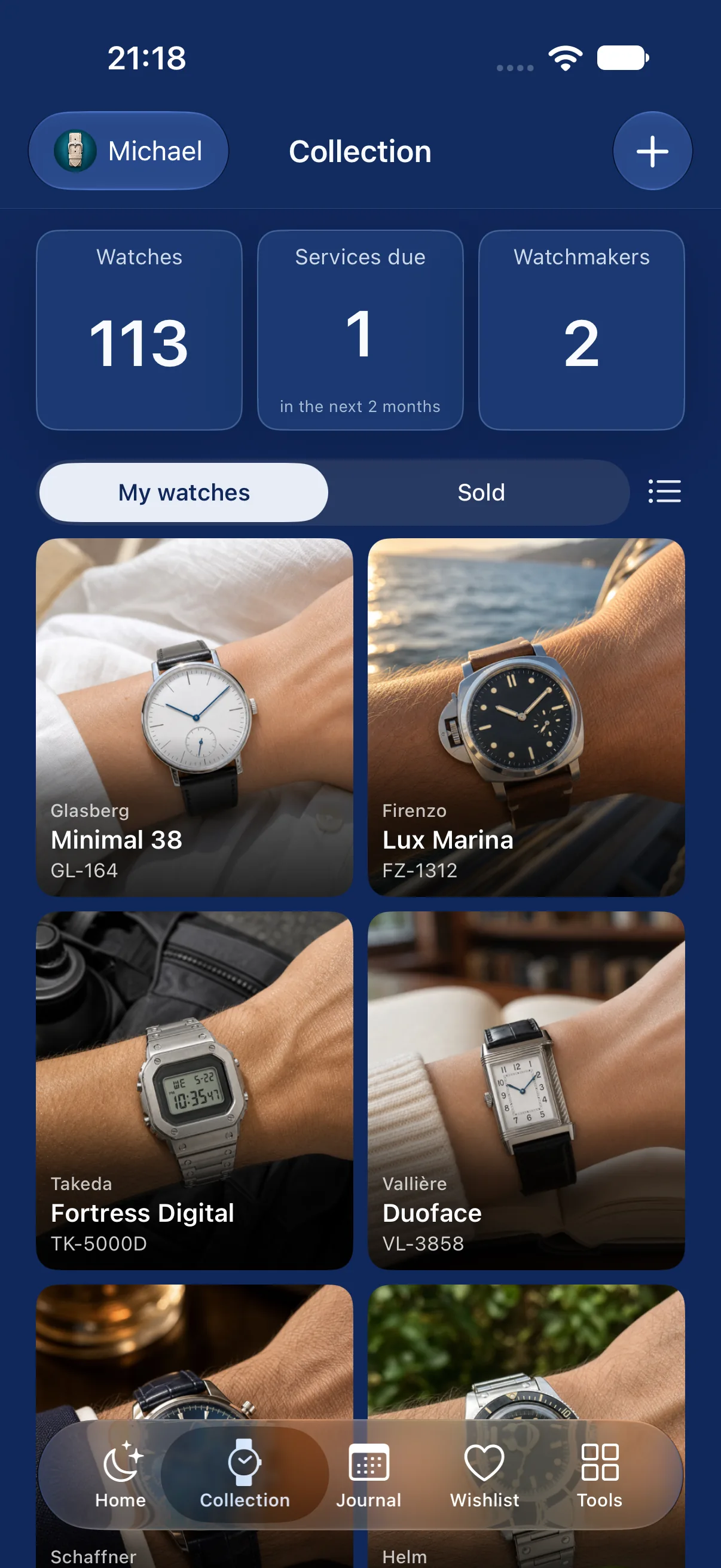 Collection grid with watches and collection statistics